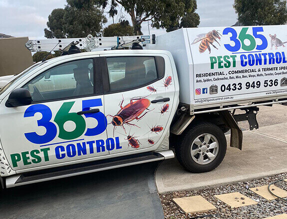 365 Pest Control