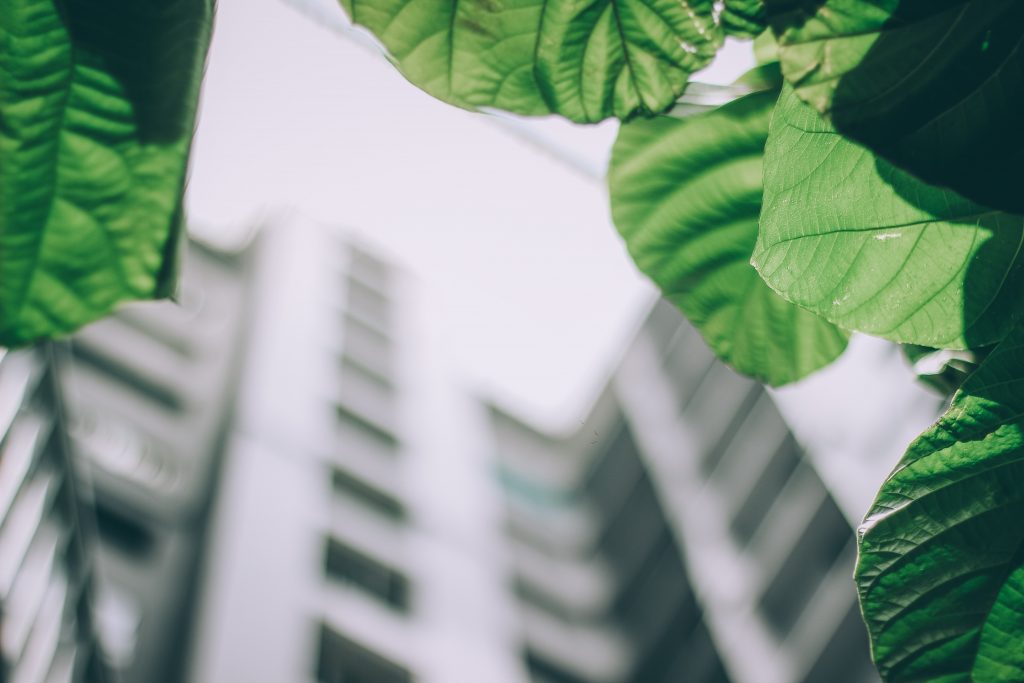Sustainable Facilities Management in Hospitality