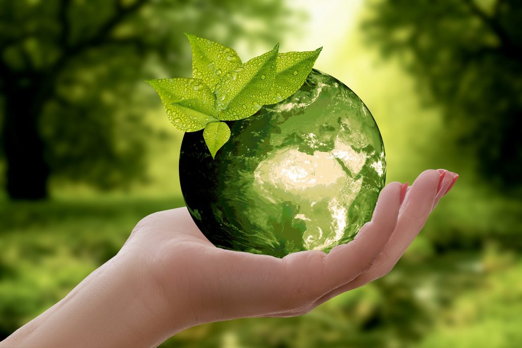 Sustainability in hospitality