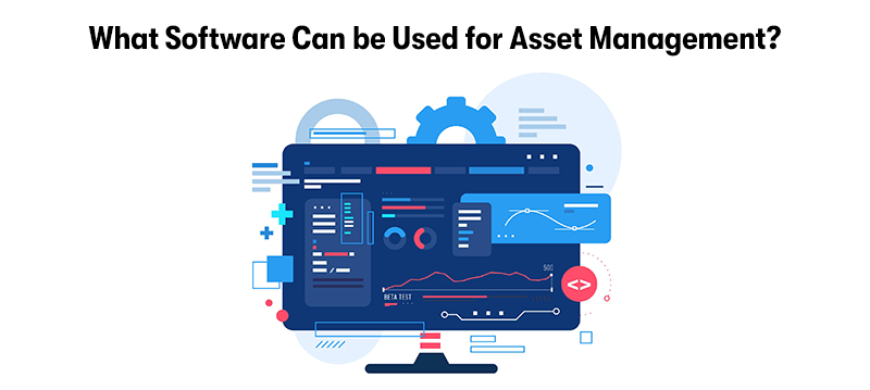What software is used for asset management?