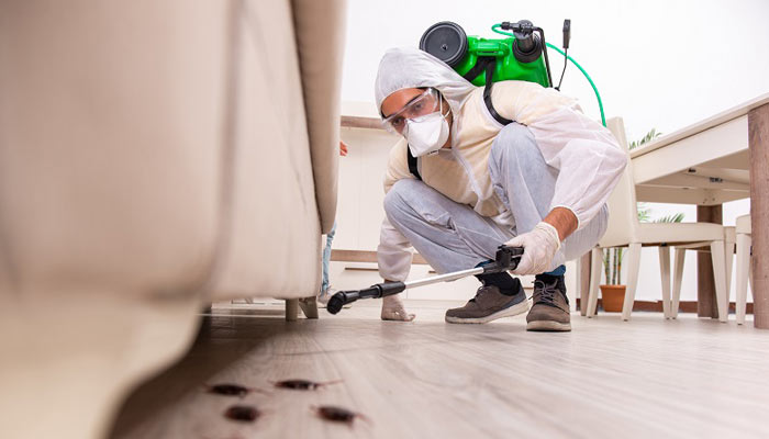 Top pest control companies in india