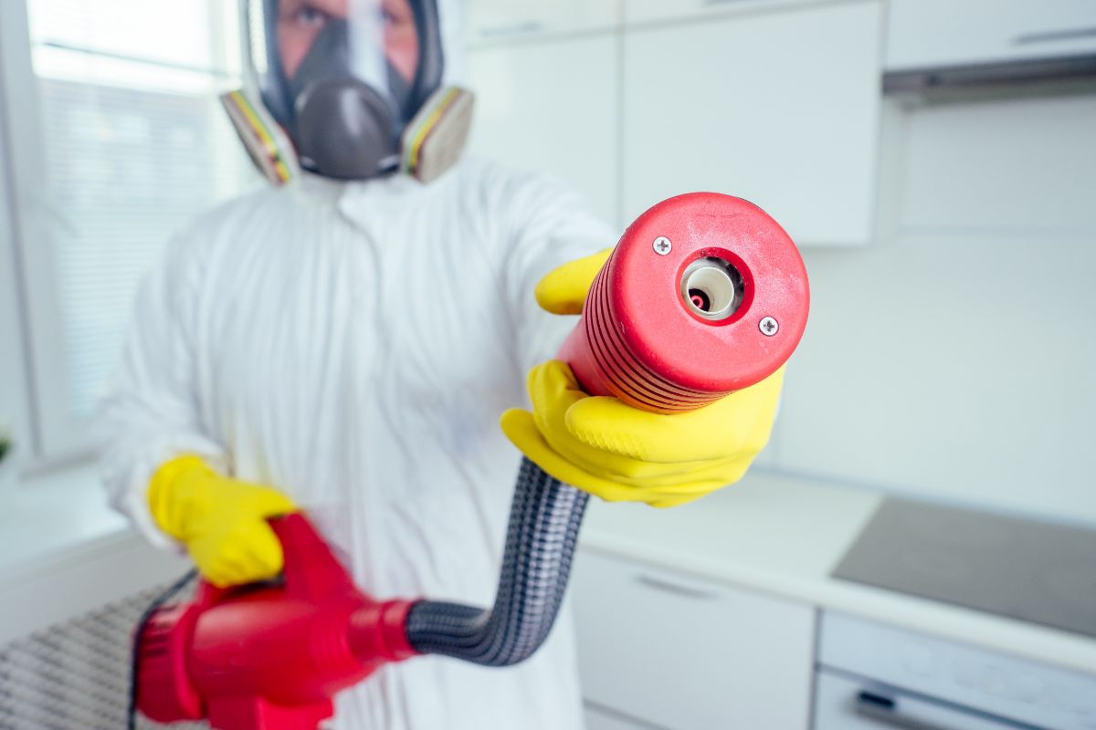 Top Pest Control Companies in Phillipines