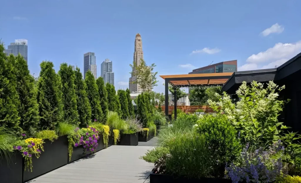 Best Landscaping COmpanies in New york 2026