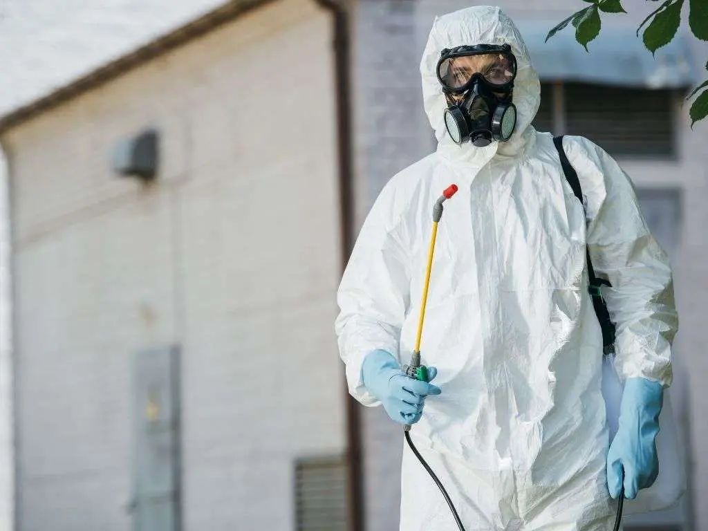 Best Pest Control COmpanies in New York