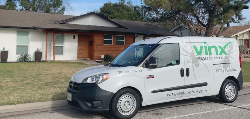Best Pest Control Companies in Dallas